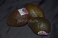 zwarte avocado