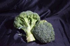 Belgische broccoli